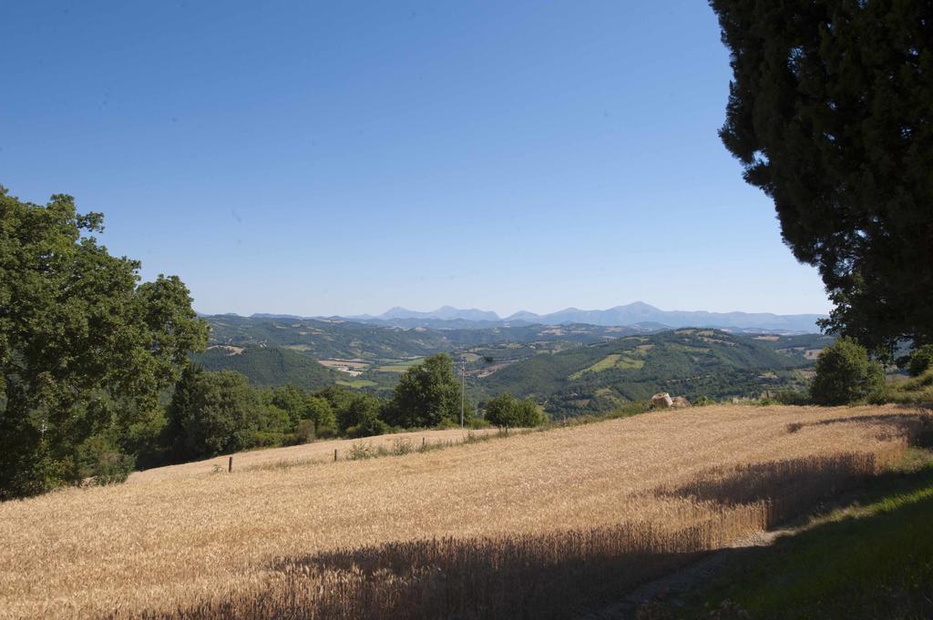 Agriturismo Tenuta Di Biscina Exterior photo