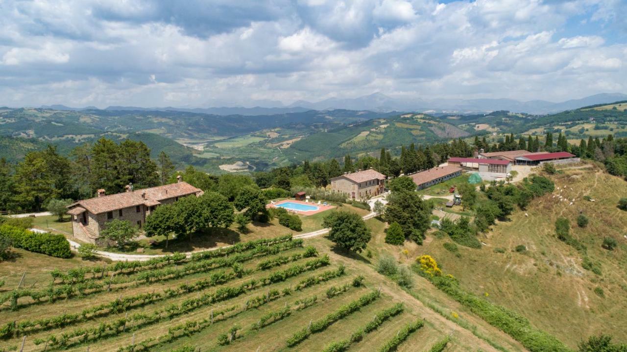 Agriturismo Tenuta Di Biscina Exterior photo