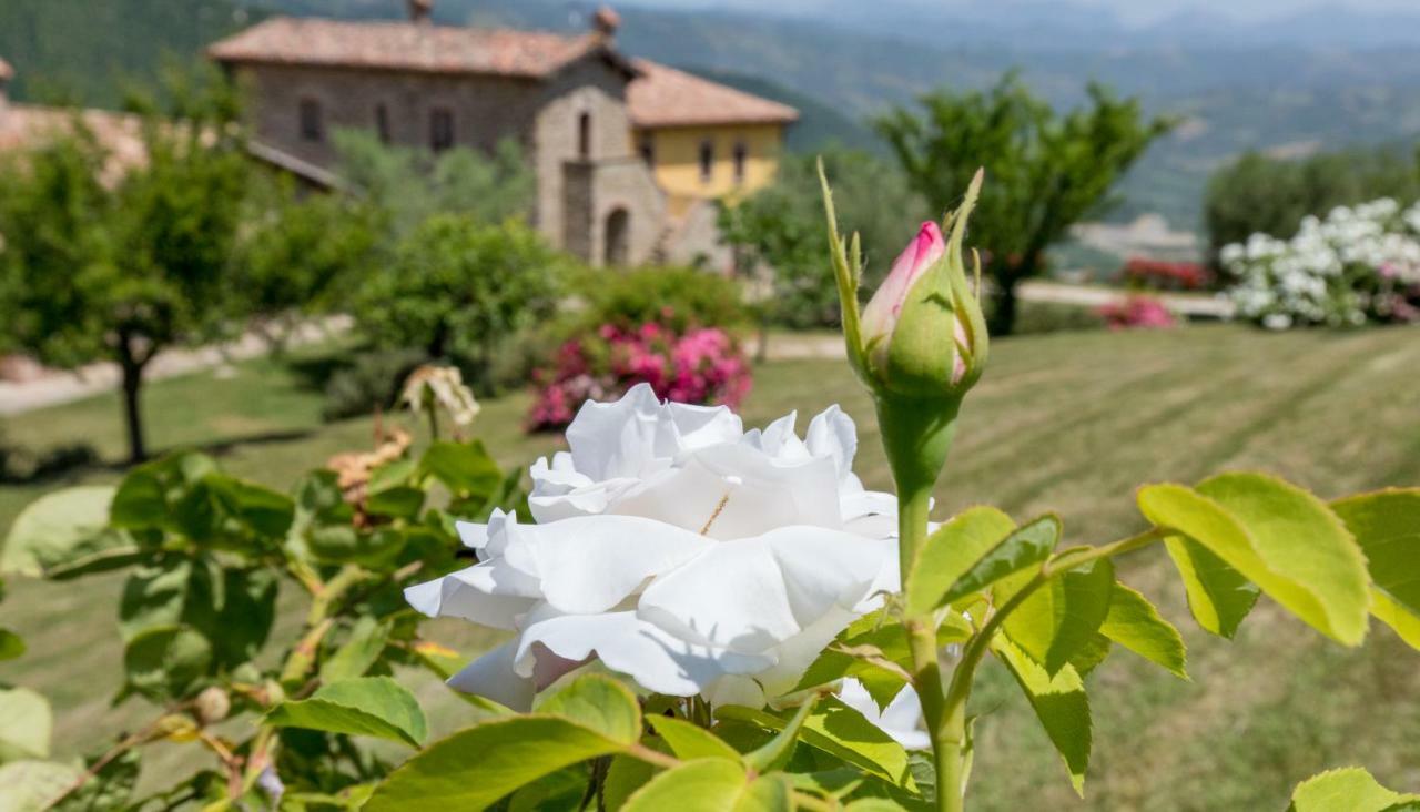 Agriturismo Tenuta Di Biscina Exterior photo